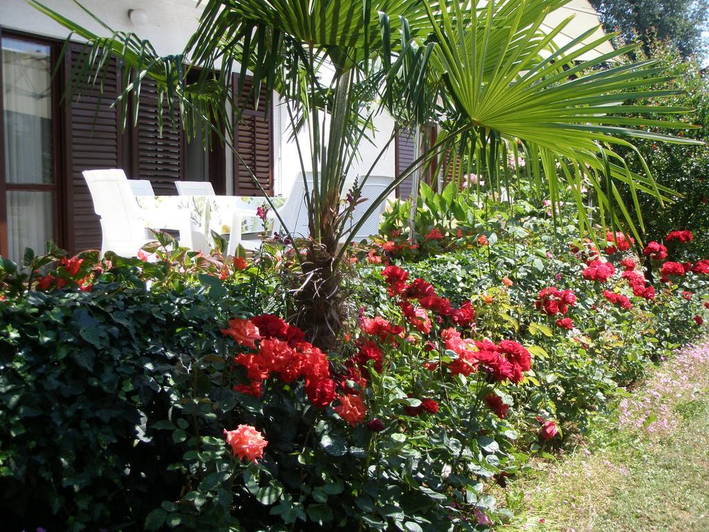 Apartments Barbara Пореч Экстерьер фото